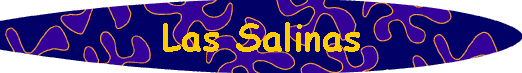  Las Salinas 